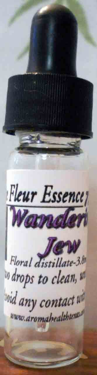 Wandering Jew, Purple Heart,Setcreasea purpurea, Flower Essence