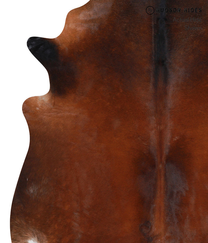 Brown with Red Cowhide Rug #A7014