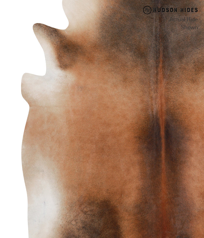 Brown with Red Cowhide Rug #A3734