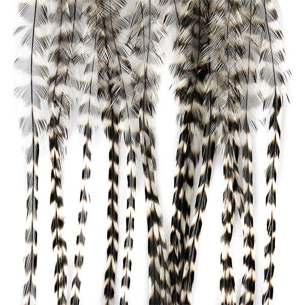 Whiting Farms 100 Dry Fly Pack