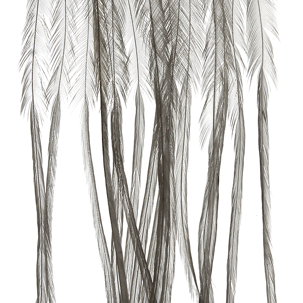 Whiting Farms 100 Dry Fly Pack