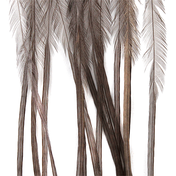 Whiting Farms 100 Dry Fly Pack