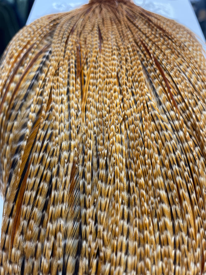 Whiting Farms Bronze Dry Fly Cape