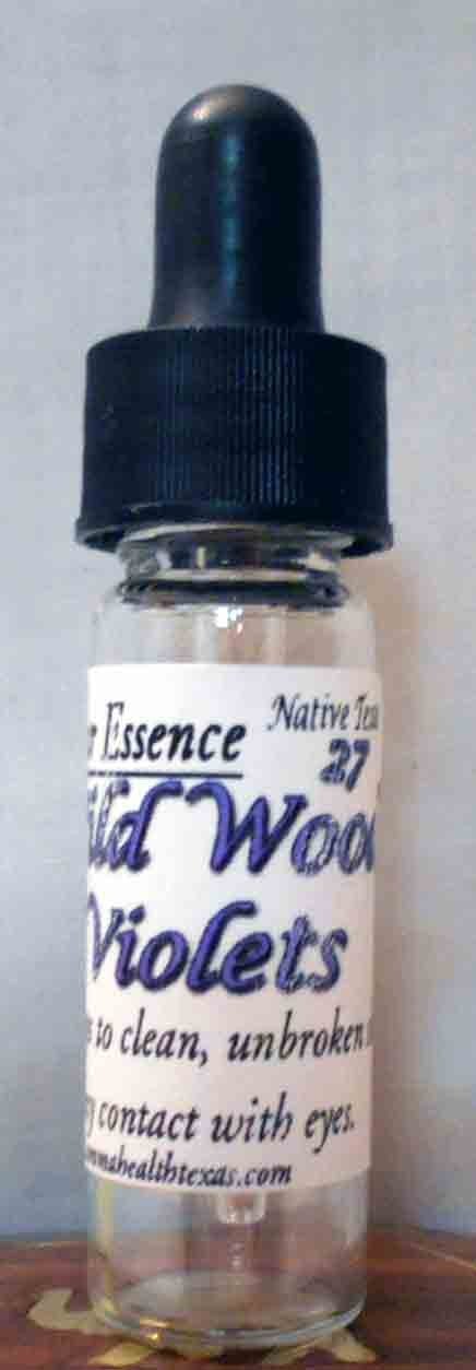 Wild Wood Violets, Viola odorata, Flower Essence