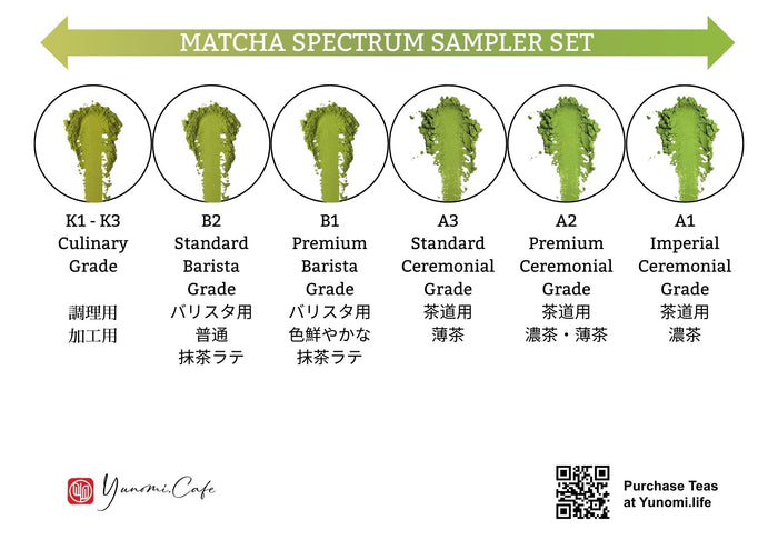 Yunomi.Dojo Lesson - Matcha Deep Dive - Beginner / Intermediate / Pro