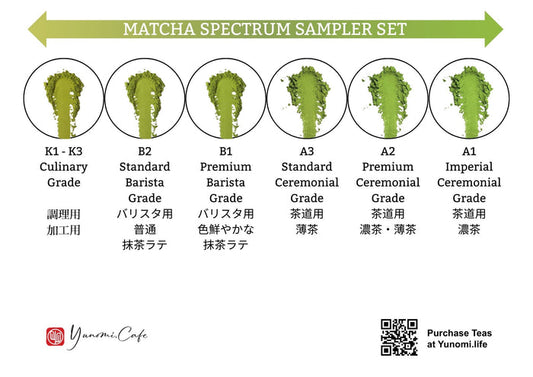 Yunomi.Dojo Lesson - Matcha Deep Dive - Beginner / Intermediate / Pro